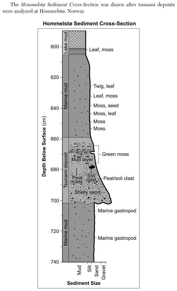 Figure 3 of 3. It is described together with the first figure.